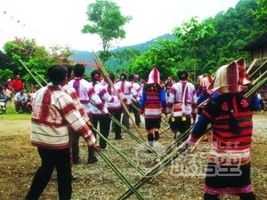 野生の象 少数民族 を巡る 西双版納 シーサンパンナ