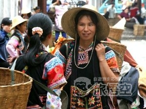 野生の象 少数民族 を巡る 西双版納 シーサンパンナ