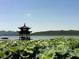 杭州 観光 世界遺産 西湖 六和塔 霊隠寺 花港観魚 を巡る 旅行 ツアー 