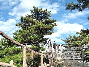 黄山 ツアー