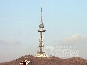 青島 市内 １日 観光 ツアー