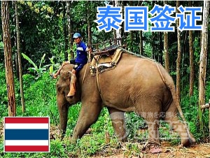 泰国 签证 泰国个人旅游 泰国自由行签证