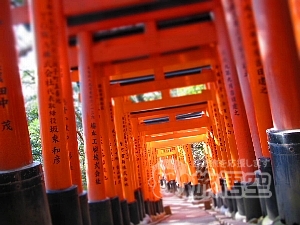 大阪 京都 神戸 奈良 