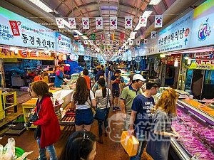 済州島 チェジュ 旅行 / 韓国 グルメ ショッピング