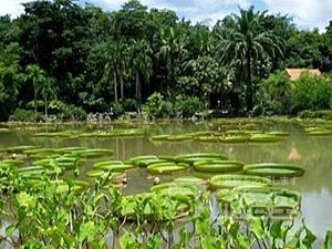 モロン熱帯植物園