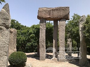千仏山