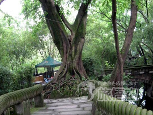 鵝嶺公園 重庆