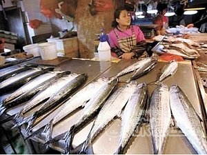 青島 観光 青島ビール を巡る 旅行 ツアー