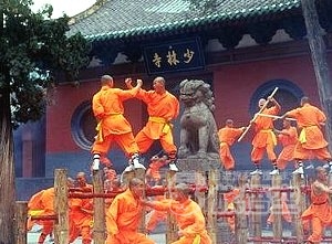 洛陽 観光 世界遺産 龍門石窟 少林寺 を巡る 旅行 ツアー
