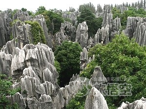 建水 元陽 羅平 昆明 観光 世界遺産 紅河ハニ棚田 菜の花畑 を巡る 旅行 ツアー