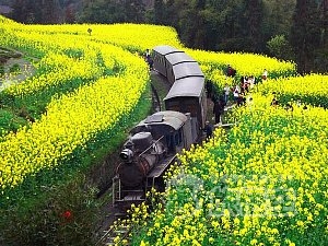 山 芭石鉄道 成都 世界遺産 蒸気機関車 に乗車体験する 観光 旅行 ツアー