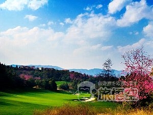 昆明 スプリングシティ ゴルフ 旅行 ツアー