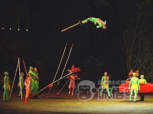 長隆歓楽世界 大サーカス 鑑賞 ツアー