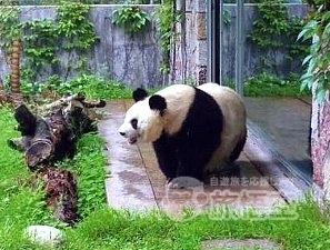 桂林 市内 半日 観光 ツアー