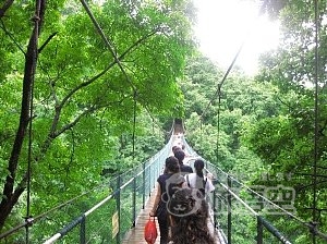 古東滝 大墟古鎮 1日 ツアー