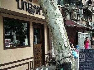 Urban Thai 上海