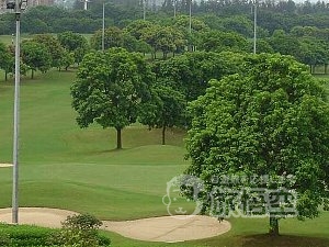 香港発 深セン 名商 ゴルフ クラブ