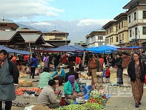 秘境 ブータン ティンプー パロ 旅行