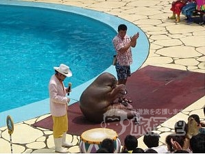 極地海洋動物園　大連