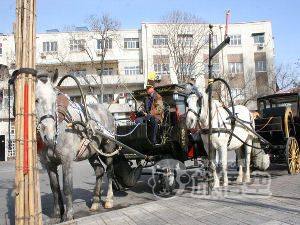 五大道旅遊観光馬車