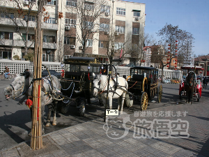 五大道旅遊観光馬車