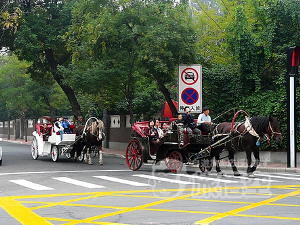 五大道旅遊観光馬車