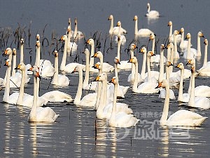 三門峡ダム 