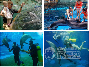 深圳野生動物園 深圳