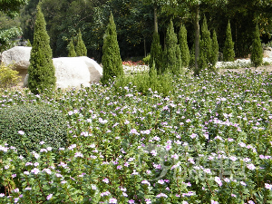 アモイ園林植物園 厦門